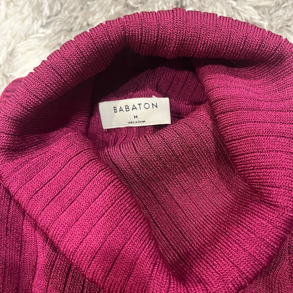 Aritzia Alert! Rio Raspberry Zander Turtleneck Sweater